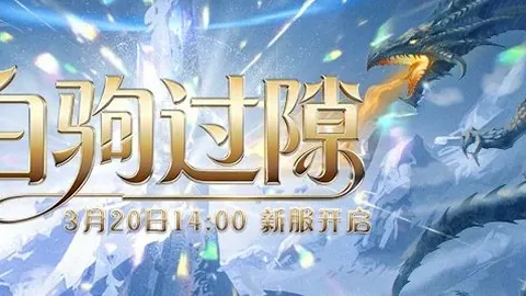 大乐透期号专家推荐解析：哥伦甲让步含义